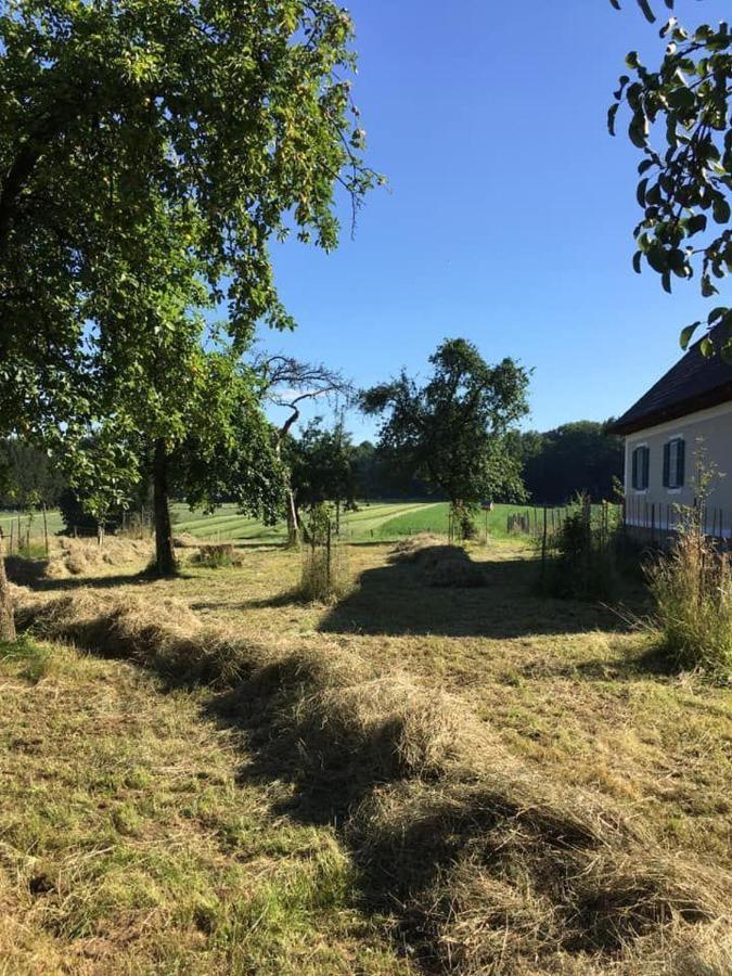 Villa Kellerstöckl am veganen Bio-Lebenshof - nur für Hundefreunde empfohlen ! Sulb Exterior foto