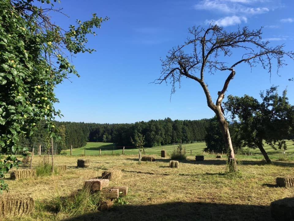 Villa Kellerstöckl am veganen Bio-Lebenshof - nur für Hundefreunde empfohlen ! Sulb Exterior foto