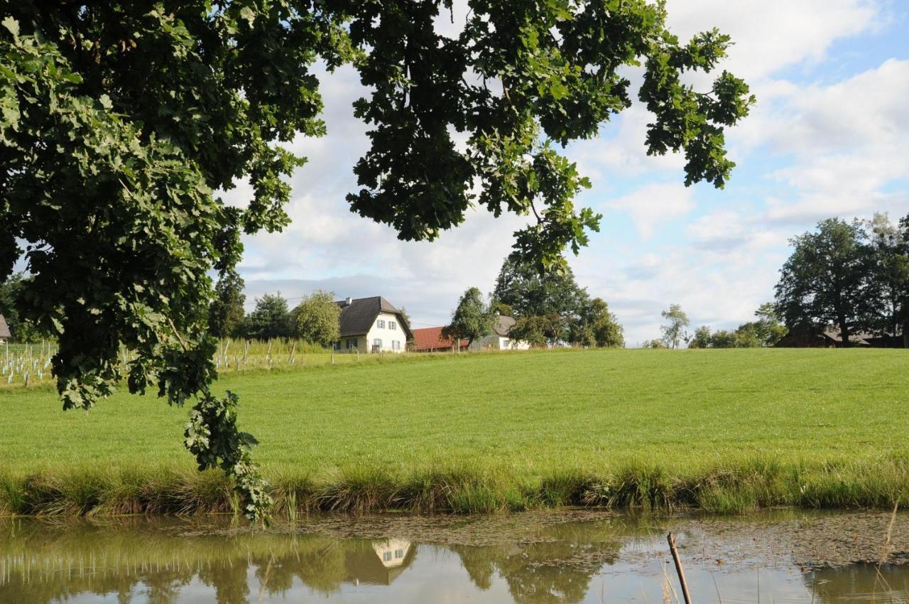 Villa Kellerstöckl am veganen Bio-Lebenshof - nur für Hundefreunde empfohlen ! Sulb Exterior foto