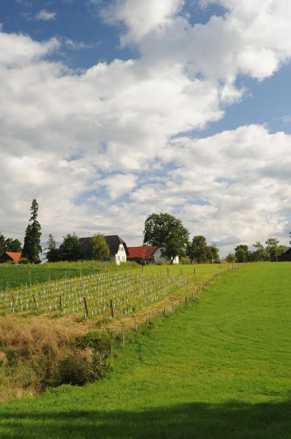 Villa Kellerstöckl am veganen Bio-Lebenshof - nur für Hundefreunde empfohlen ! Sulb Exterior foto