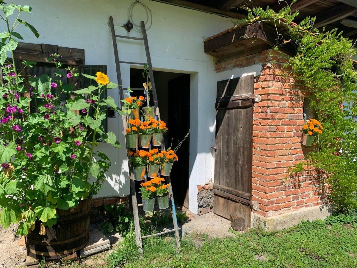 Villa Kellerstöckl am veganen Bio-Lebenshof - nur für Hundefreunde empfohlen ! Sulb Exterior foto