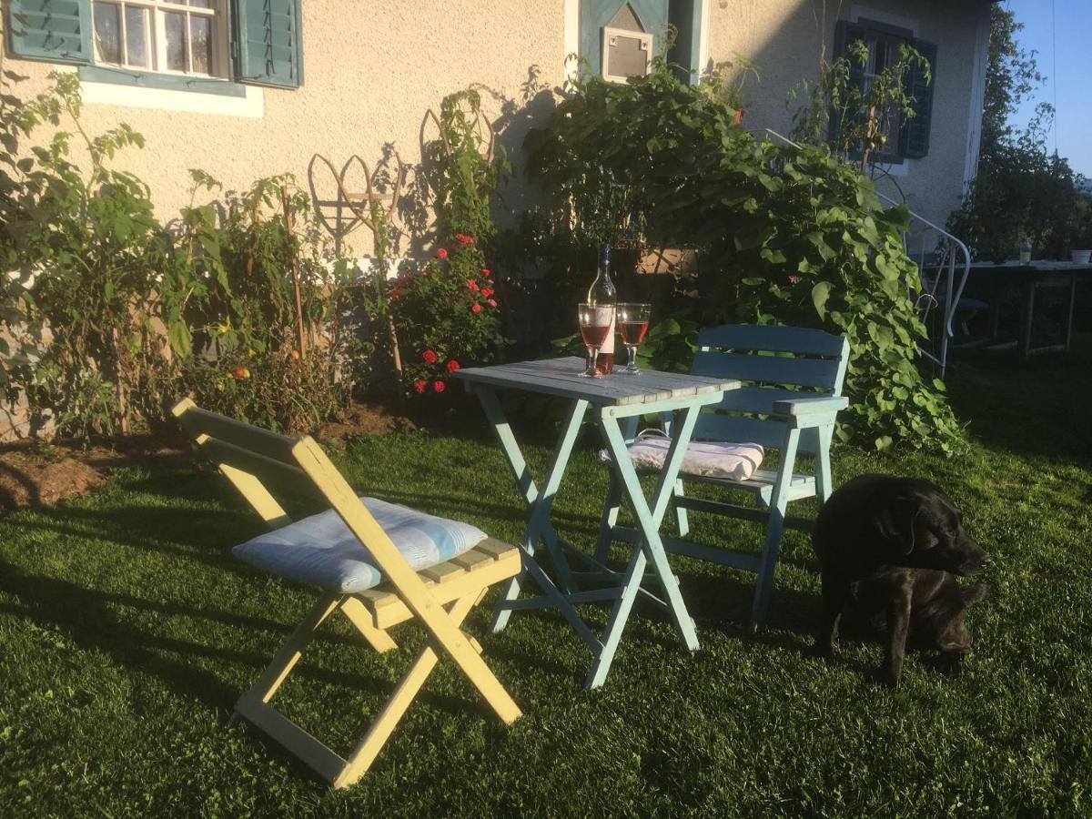 Villa Kellerstöckl am veganen Bio-Lebenshof - nur für Hundefreunde empfohlen ! Sulb Exterior foto