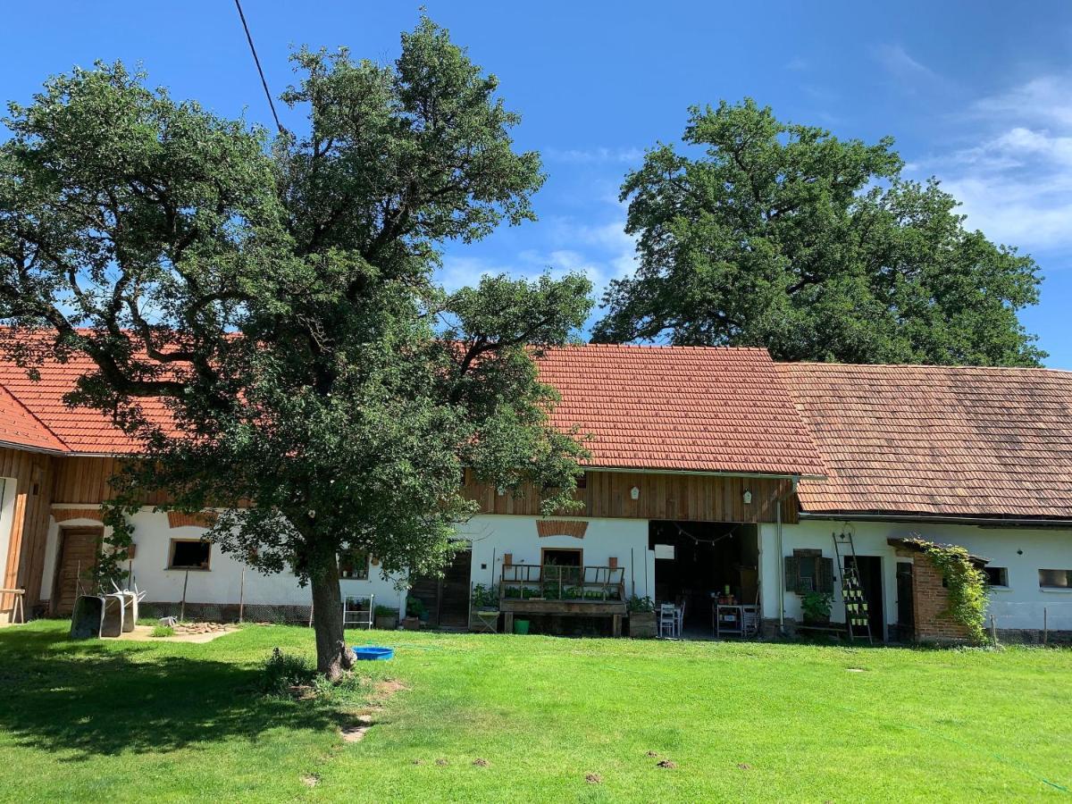 Villa Kellerstöckl am veganen Bio-Lebenshof - nur für Hundefreunde empfohlen ! Sulb Exterior foto