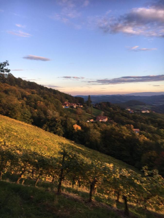 Villa Kellerstöckl am veganen Bio-Lebenshof - nur für Hundefreunde empfohlen ! Sulb Exterior foto