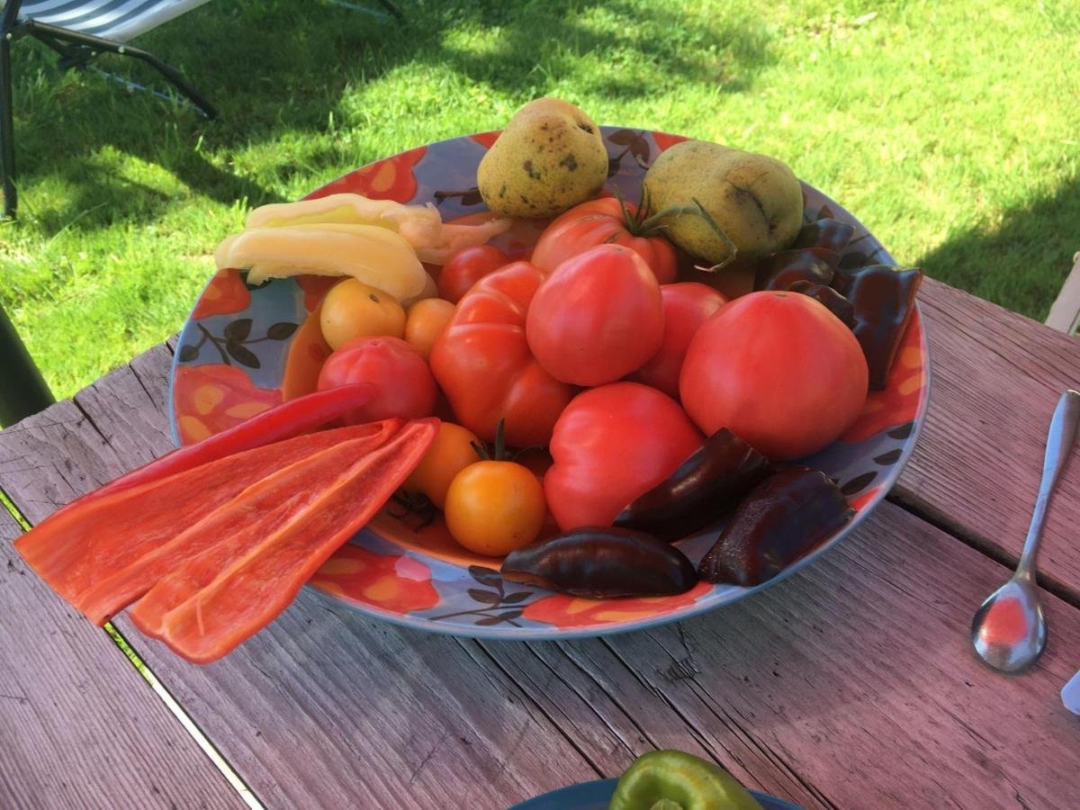 Villa Kellerstöckl am veganen Bio-Lebenshof - nur für Hundefreunde empfohlen ! Sulb Exterior foto